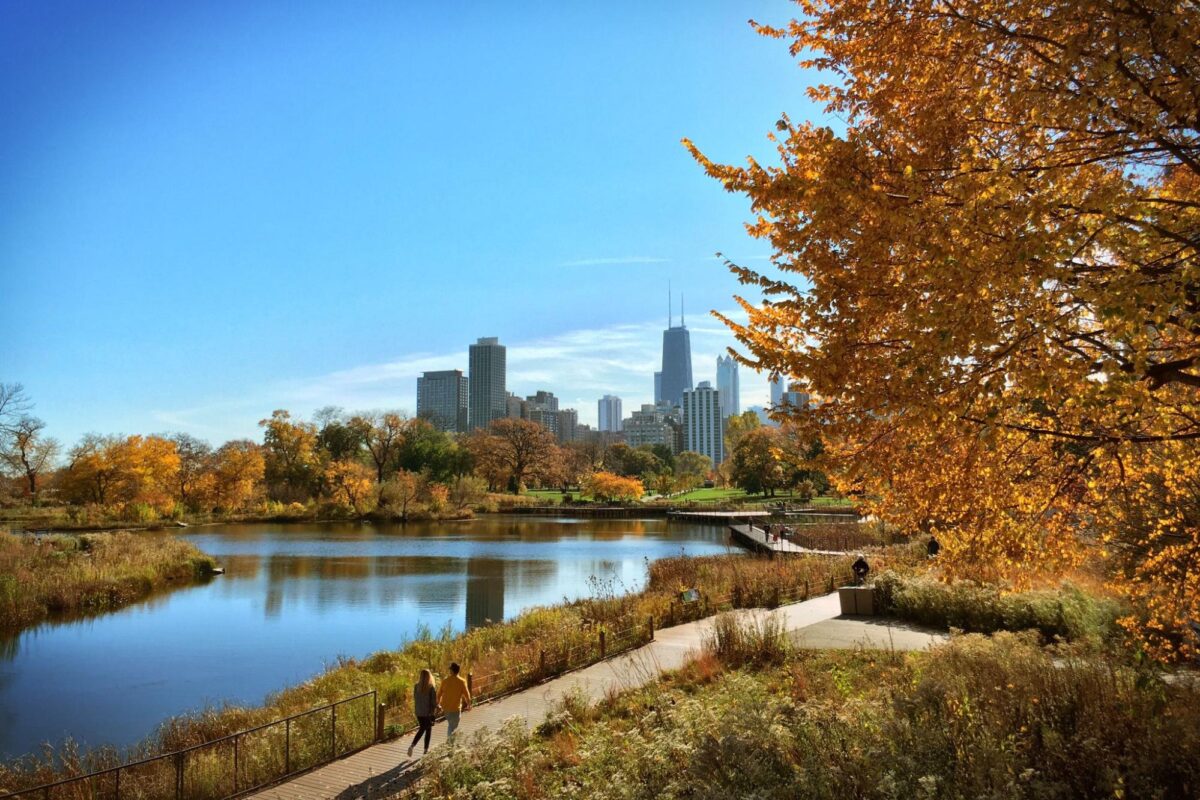 Lincoln Park, Chicago: The Neighborhood Guide