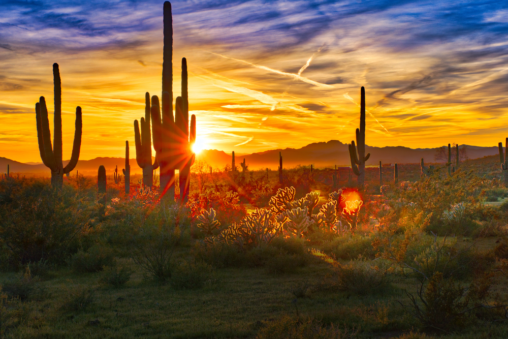Get to know the areas of Phoenix - Living In Phoenix AZ